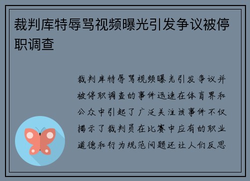 裁判库特辱骂视频曝光引发争议被停职调查